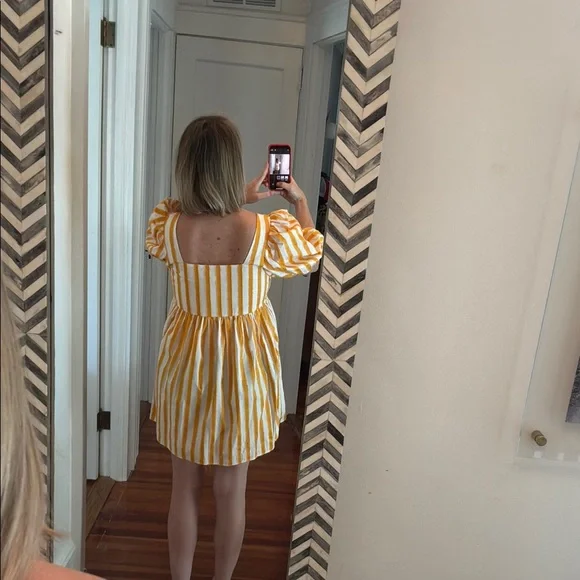 Mr. Larkin Mini Dress - Picture 3 of 5